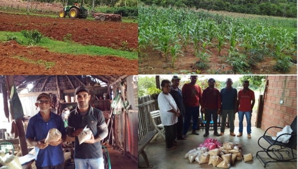 Prefeitura de Tocantínia entrega sementes do programa “Mesa Farta” para produtores dos assentamentos