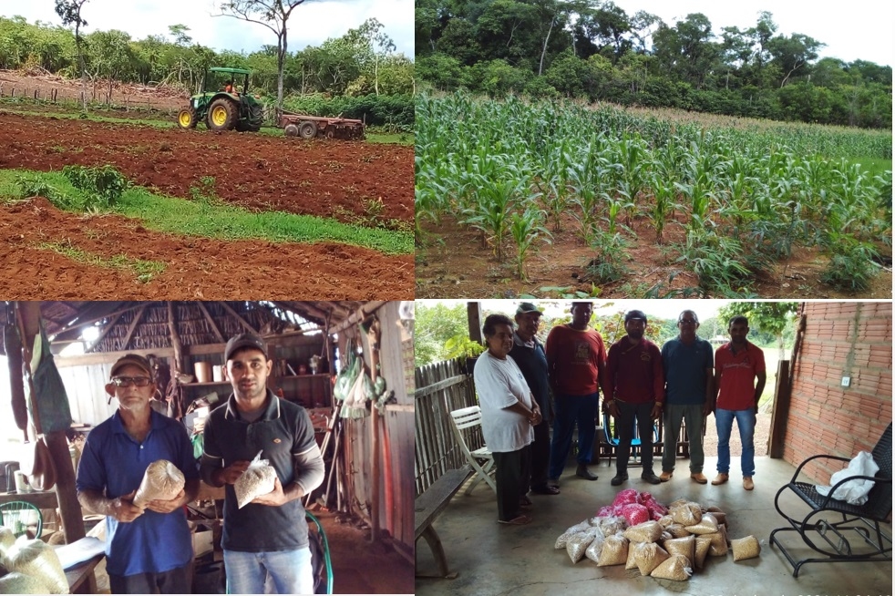 Prefeitura de Tocantínia entrega sementes do programa “Mesa Farta” para produtores dos assentamentos