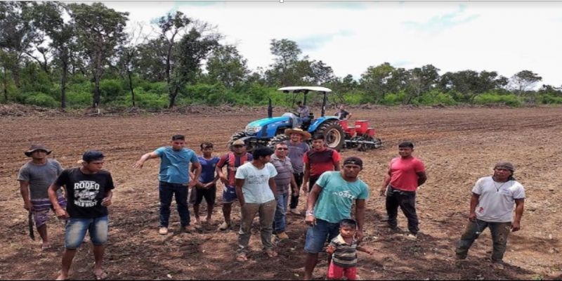 Comunidades indígenas em Tocantínia são beneficiadas com roça comunitária