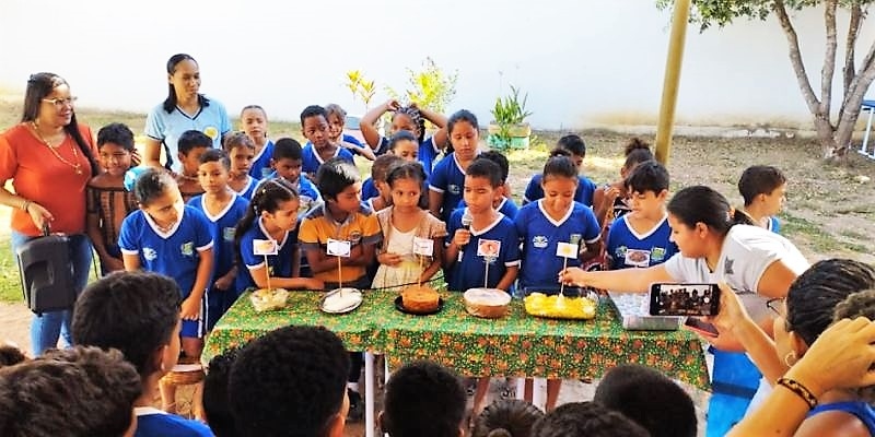 Escola Municipal Professor Constantino Pedro de Castro realiza a culminância do Projeto Leitura Viva, em Tocantínia