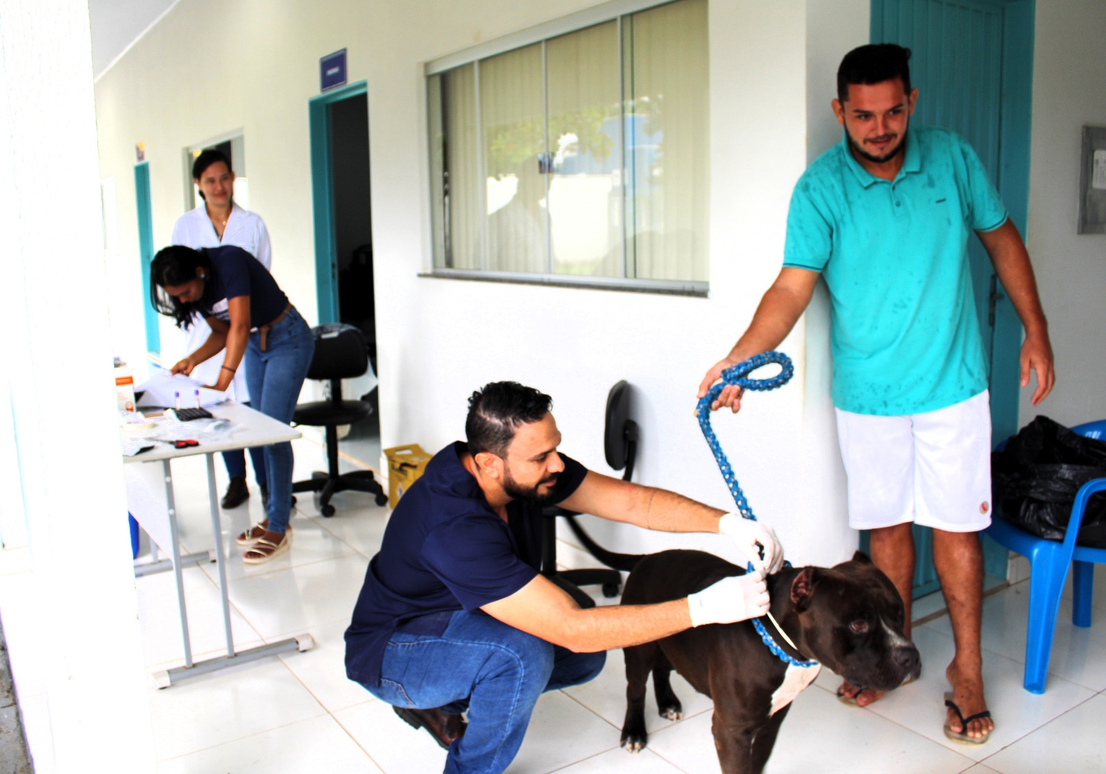 Prefeitura de Tocantínia lança Campanha de Encoleiramento de Cães contra a Leishmaniose Viceral