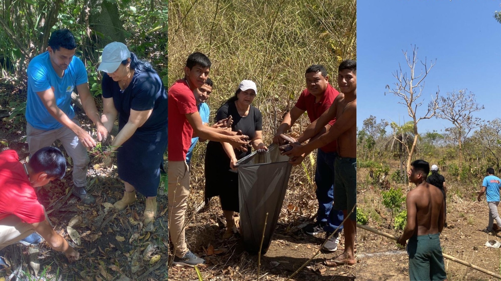 Tocantínia realiza Coleta de Sementes para criação do Banco de Sementes da Aldeia La Vista