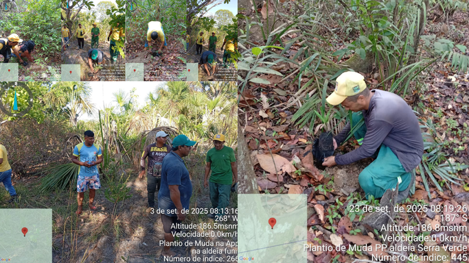 Tocantínia promove ações de educação ambiental com plantio de mudas nas Aldeias Funil e Serra Verde
